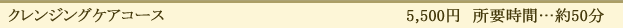 クレンジングケアコース